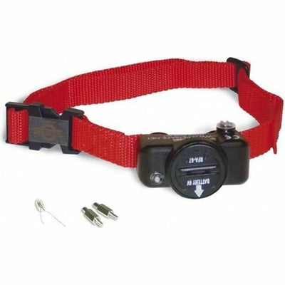 Hundhalsband PetSafe rouge
