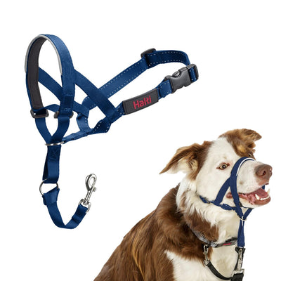 Munkorg Company of Animals COBALT Blå 2