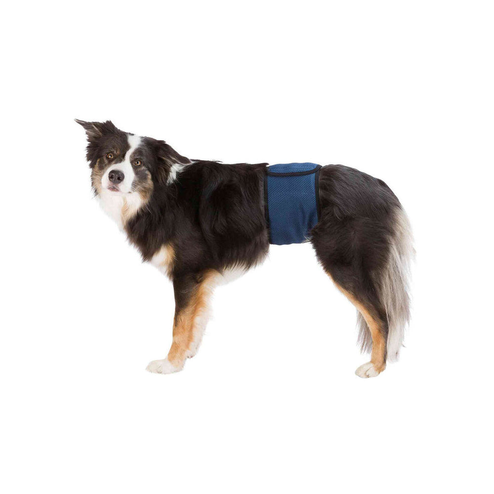 Inkontinensskydd Trixie 55-65 cm Hankontakt Mage