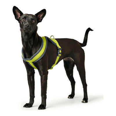 Hundsele Hunter London Comfort XS-S 39-47 cm Lime