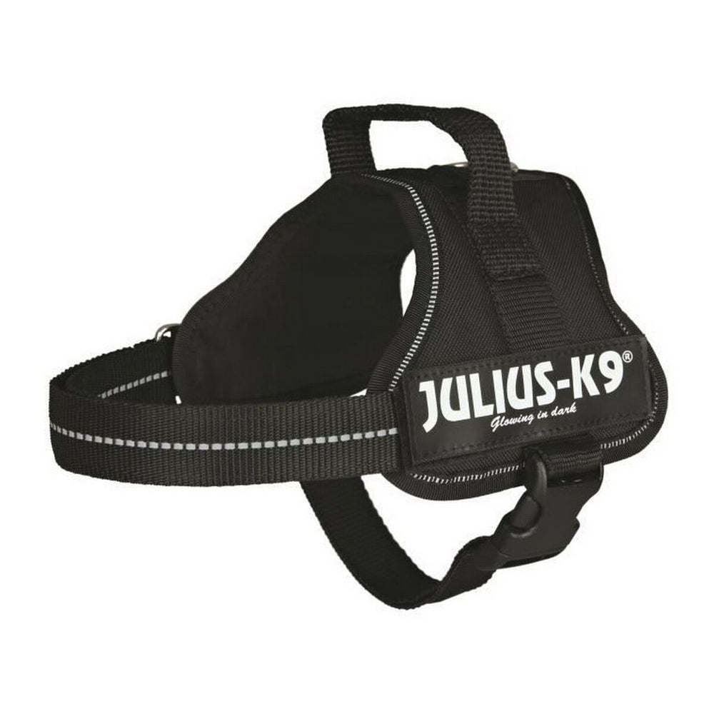 Hundsele Julius K9 Power Svart M