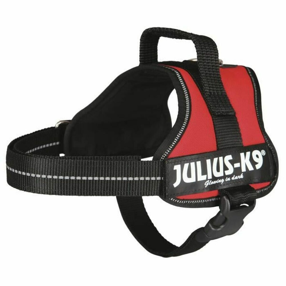 Hundsele Julius K9 Power Röd M