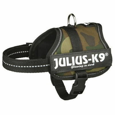 Hundsele Julius K9