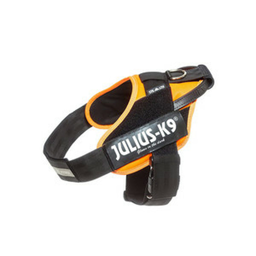 Hundsele Julius K9 IDC Orange L/XL 2 71-96 cm