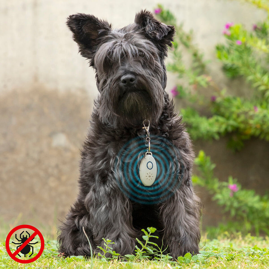 Laddningsbar djurskrämma med ultraljud PetRep InnovaGoods